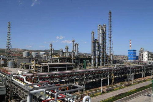 平煤神馬集團(tuán)尼龍科技二期己內(nèi)酰胺項(xiàng)目成功投料試車，年產(chǎn)20萬(wàn)噸助力倉(cāng)儲(chǔ)業(yè)升級(jí)